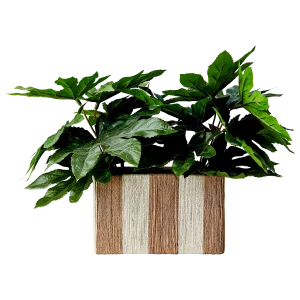 JULLAN Kruka, Elfenben/natur